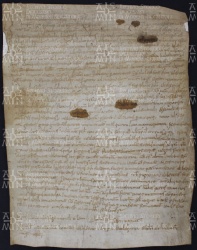 23 A.8.XXIVr, Locazione fatta da Leodoino vescovo a favore di Sigismondo e Leone, Modena, [886, mar. 6-16]